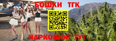 индика Братск