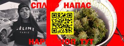 индика Братск