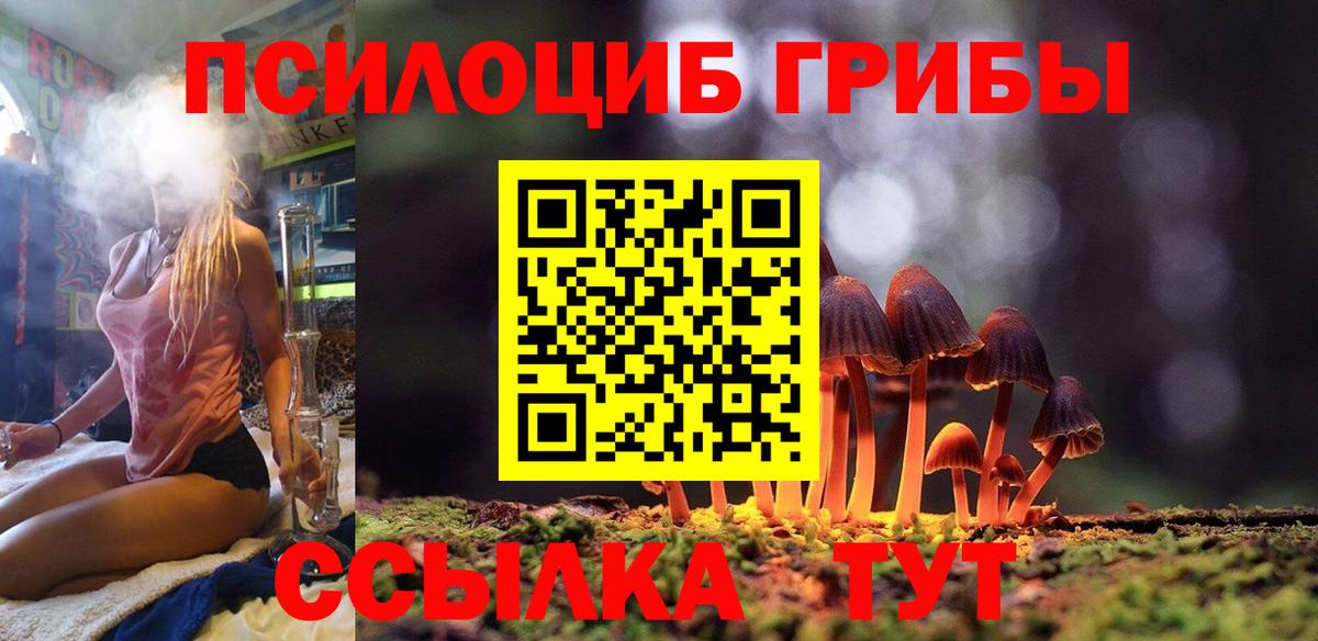 Галлюциногенные грибы Cubensis Верхний Уфалей