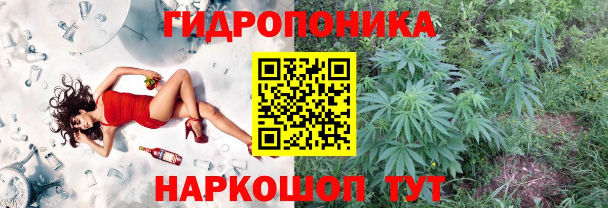 Конопля Amnesia  Вход с VPN  Марихуана сатива  Шишки марихуана Bruce Banner  Верхний Уфалей  Бошки Шишки план 